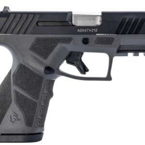 Taurus GX2 9mm compact pistol gray frame matte black serrated slide two 10-round magazines