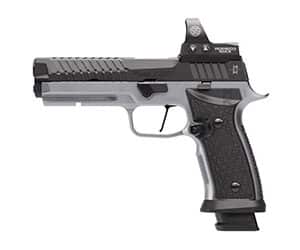 SIG Sauer P320 SXG MAX 9mm 5 inch ROMEO3MAX pistol with stainless grip and black Nitron slide