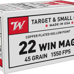 Winchester Dynapoint .22 WMR 45 gr copper-plated hollow point 50 count box