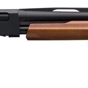 Winchester SXP Field 20 Gauge pump shotgun 28 in back-bored vent-rib barrel hardwood stock matte black receiver