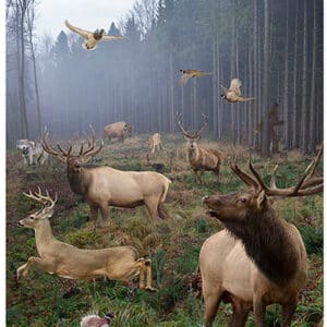 Action Target GSBIGHUNT100 animals paper hanging target 23x35 100 per box