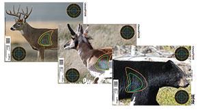 Champion VisiColor Big Game target sheet with bear, antelope, and whitetail deer and color-coded vital zones
