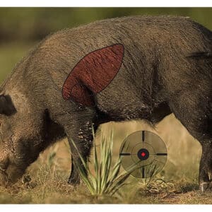 Birchwood Casey Pregame Boar Target 16.5 x 24 inch 3-Pack full-color reactive paper