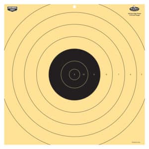 Birchwood Casey Dirty Bird bullseye tagboard target 5-pack, black and white