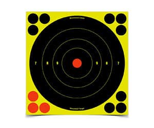 Birchwood Casey Shoot-N-C 8-inch Bullseye targets 30 pack self-adhesive black yellow red
