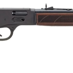 Henry H12 Provider lever-action rifle with 20-inch blued barrel and walnut pistol-grip stock