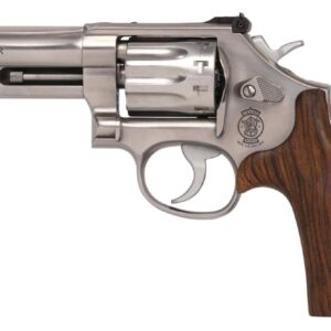 Smith & Wesson 617 Mountain Gun .22 LR 4.125-inch brushed stainless revolver