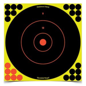 Birchwood Casey Shoot-N-C 12-inch bull's-eye target sheets, 100 count