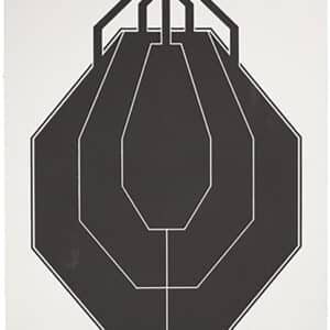 Sig Sauer SCT354 T300 IPSC replacement hanging target in black and white