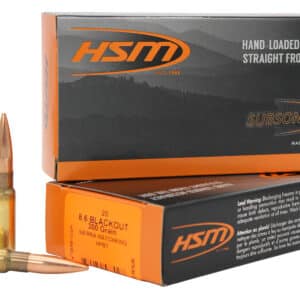 HSM Subsonic Blackout 300gr Jacketed Hollow Point 20rd Box