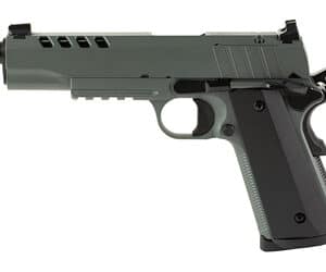 Tisas 1911 Night Stalker .45 ACP 5-inch threaded barrel Cerakote gray with two magazines