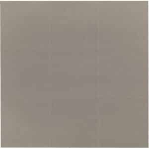 Allen EZ Aim thermal paste-on targets 2x2 9 pack