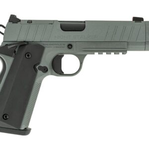TISAS NIGHT STALKER COMP 10MM GRY
