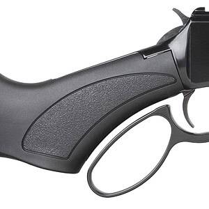 HEN X MODEL LVR 22WMR