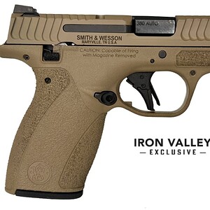 Smith & Wesson Bodyguard 2.0 .380 ACP 2.75 inch FDE handgun