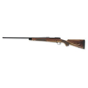 Air rifle with wooden stock and metal barrel for target shooting and hunting.