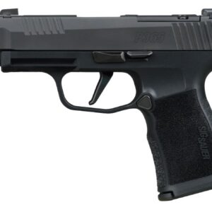 SIG Sauer P365XL Comp .380 ACP 3.1 inch pistol XRAY3 sights 2x10rd black