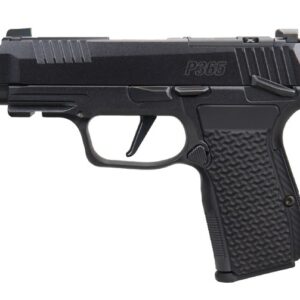P365 AXG LUXE 380 ACP 3.1" XRAY3 BLK 3/10 CA
